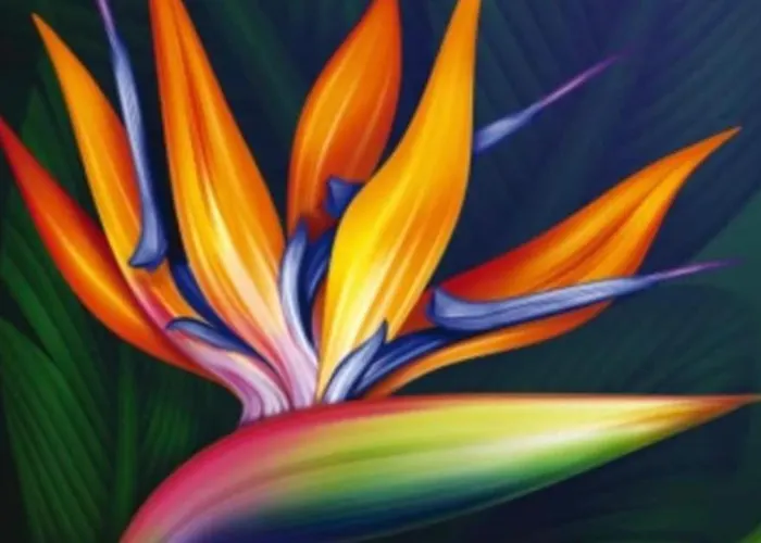 Dimora Sterlizia Zona Fiera S Donato Apartamento *