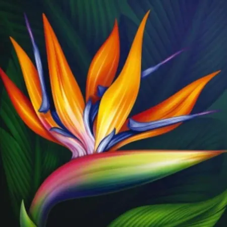 Dimora Sterlizia Zona Fiera S Donato Διαμέρισμα *